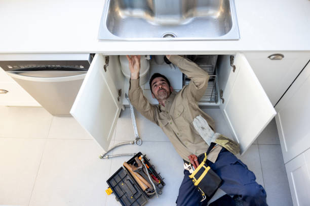 Best Sprinkler Systems  in Sutton Alpine, AK